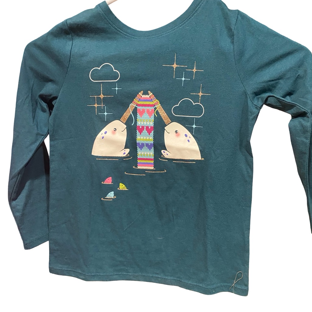 Cat & Jack Teal Long Sleeve With Cute Graphic